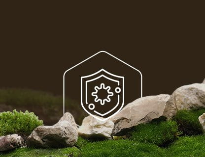 Szelén, az immunpajzs