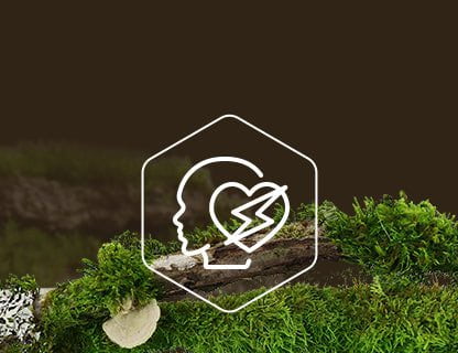 Q10-koenzim, a sejtek motorja