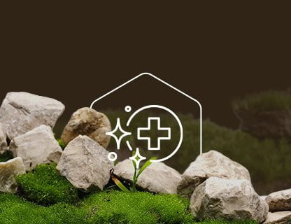 Transz-rezveratrol, a polifenol erő