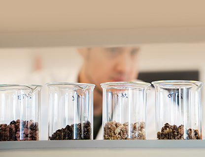 Harmonikus összetételt keresel