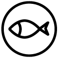 Omega-3 zsírsavakkal