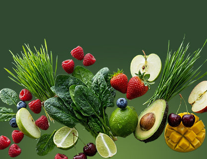VitaBerry® antioxidáns formula
