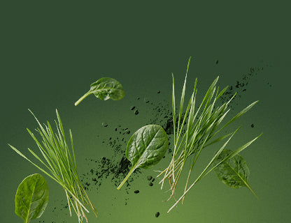Sokféle Superfood