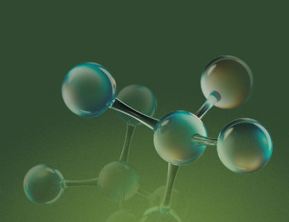 Bioaktív B-vitaminok