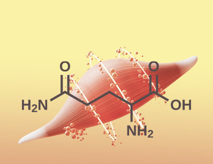 Glutamin