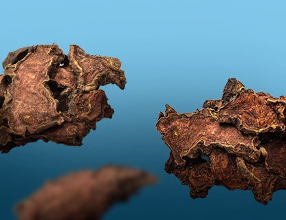 Északi kultúrák régi kedvence